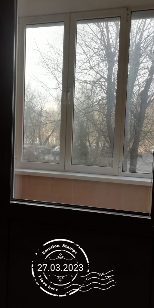 Вид из окна спальни, Дневник инвалида Саши