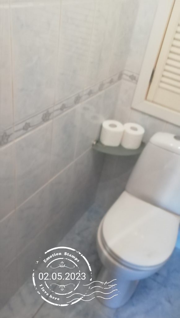 Туалет, Дневник инвалида Саши