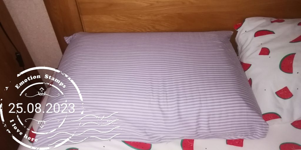 Новая подушка, Дневник инвалида Саши