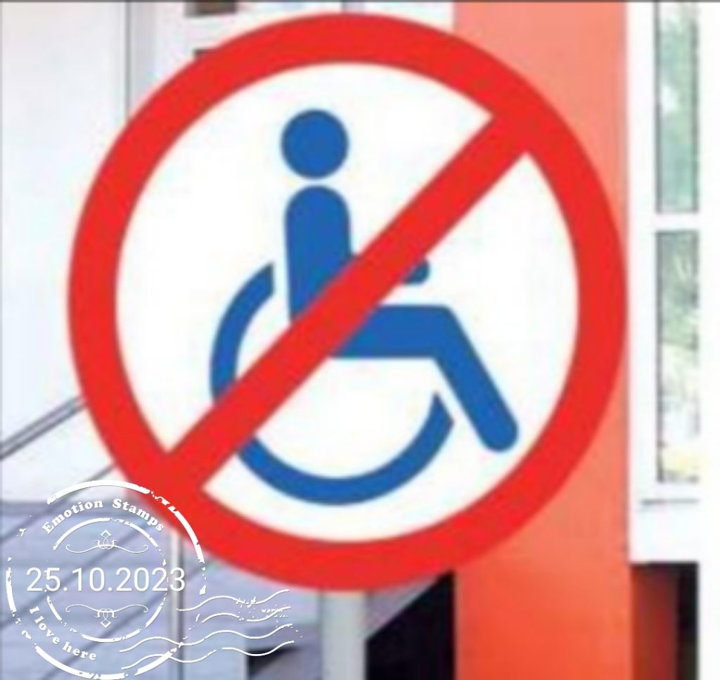 Нет инвалидности, Дневник инвалида Саши