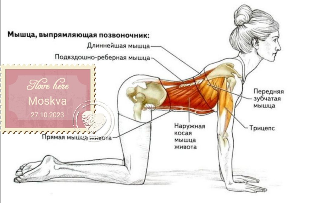 Новые упражнения, проба 1, Дневник инвалида Саши