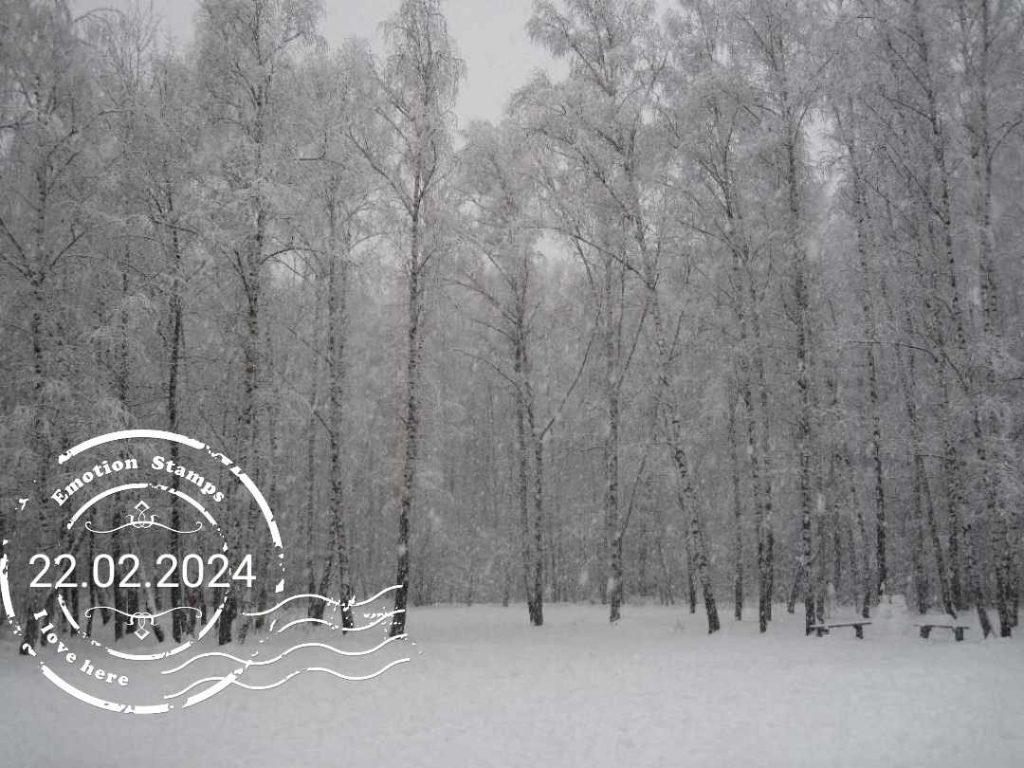 Зимний лес 2009, Дневник инвалида Саши