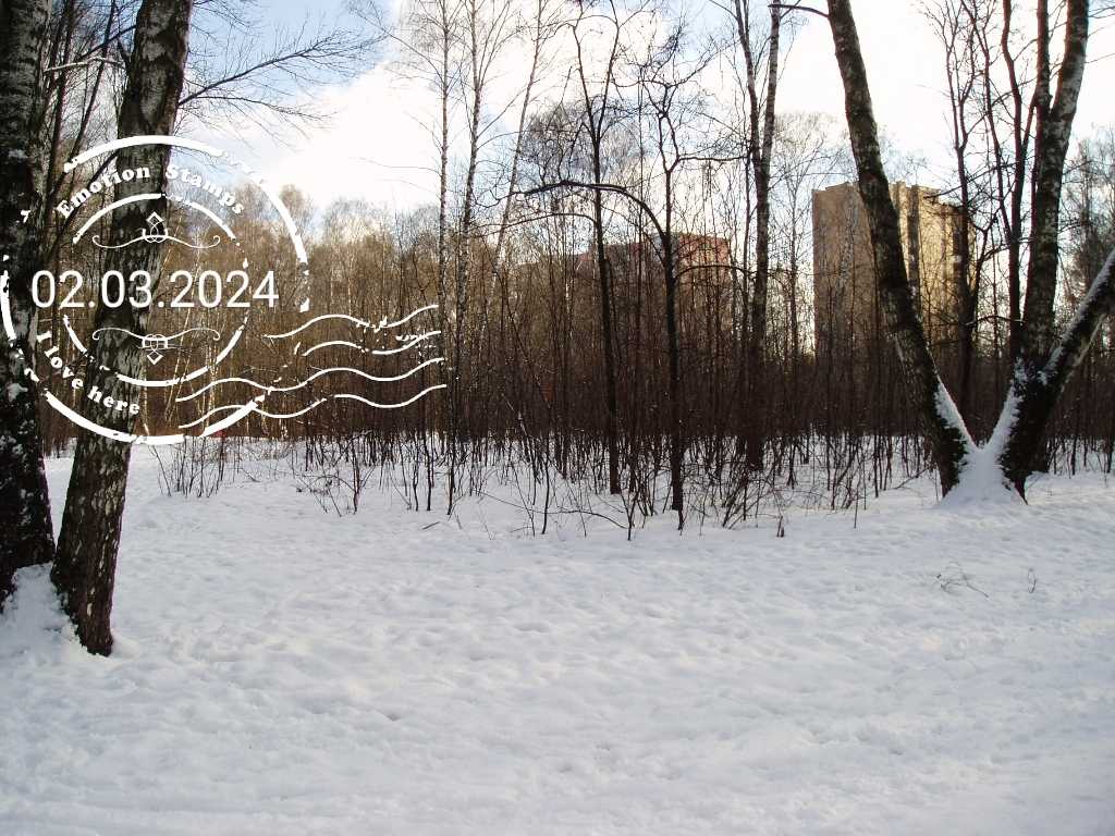 Зимний лес 2008, Дневник инвалида Саши