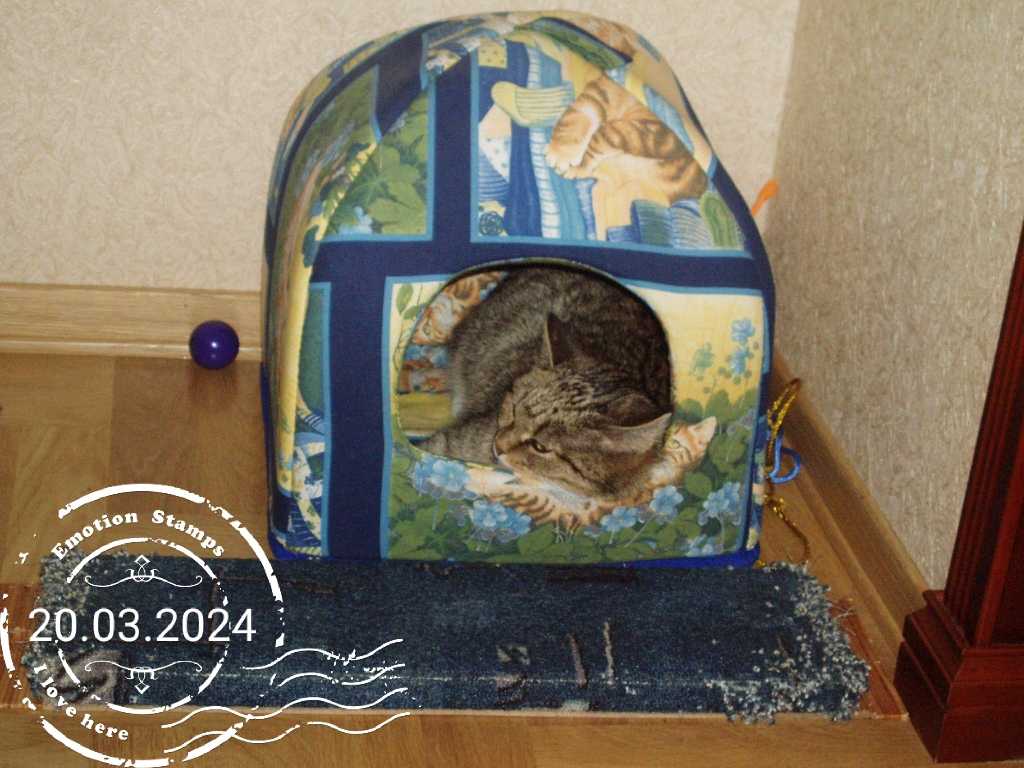 Домик кошки 2008, Дневник инвалида Саши