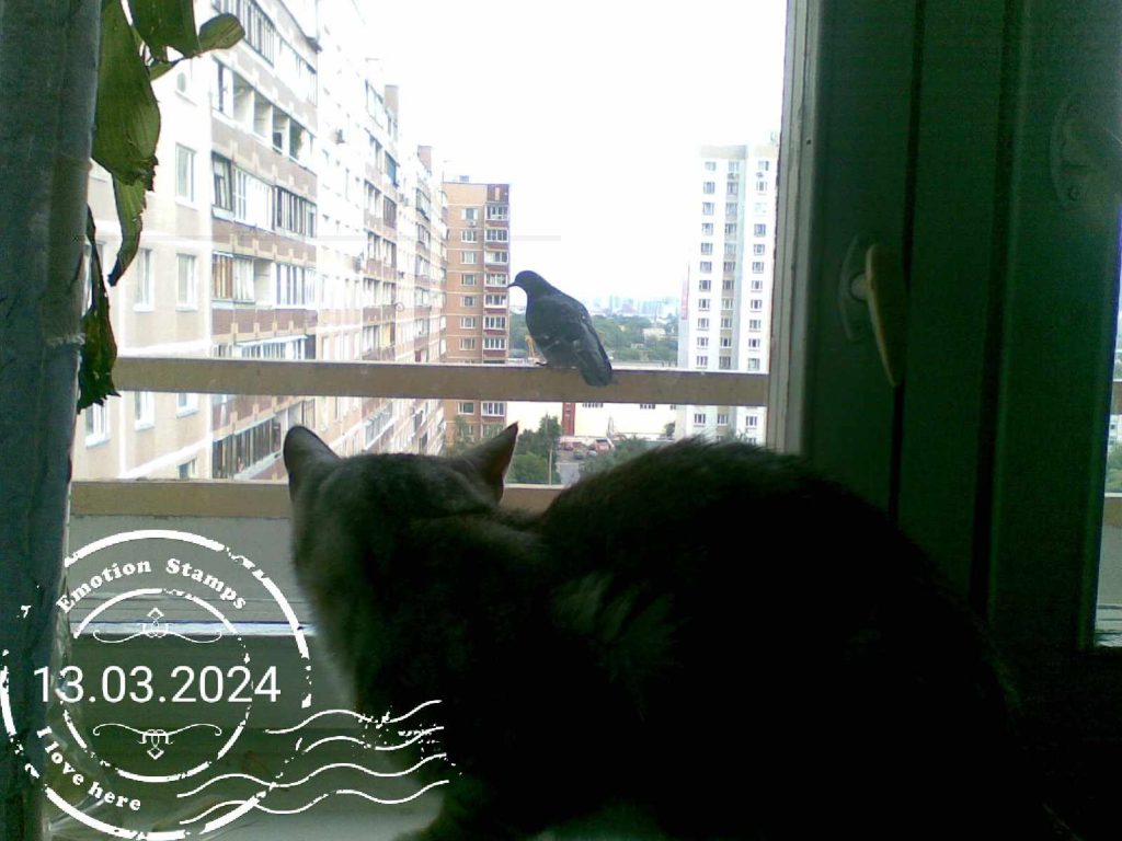 Кошка и птица 2009, Дневник инвалида Саши