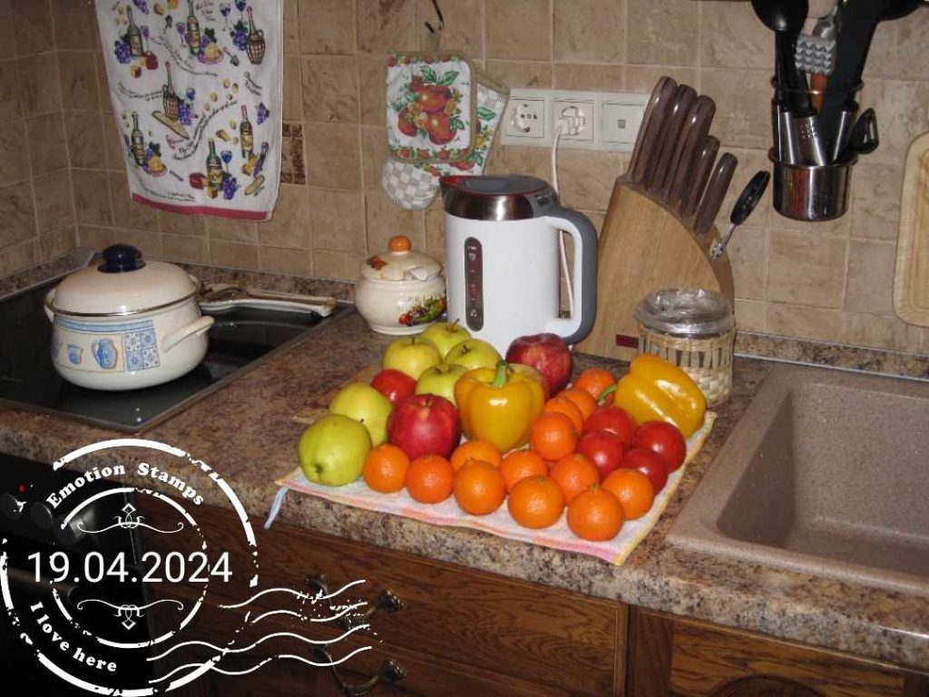 Кухня, 2009, Дневник инвалида Саши