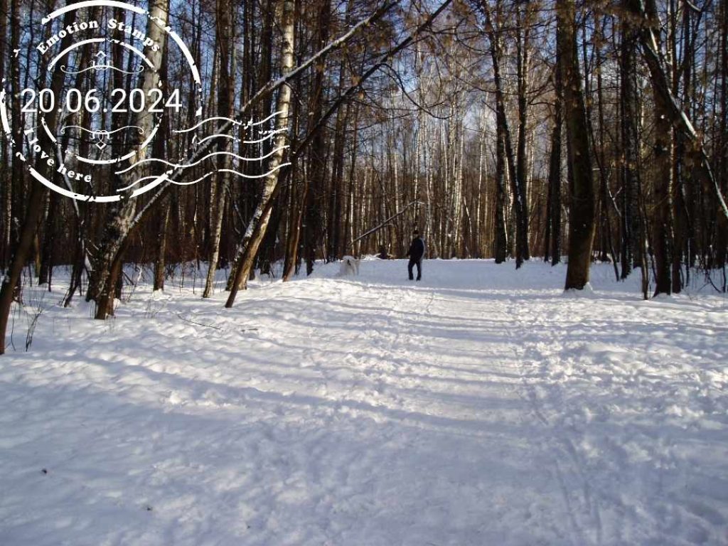 Прогулка в лес, 2008, Дневник инвалида Саши