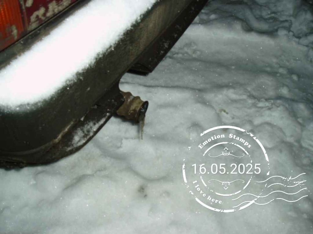 2141, 2004, Дневник инвалида Саши
