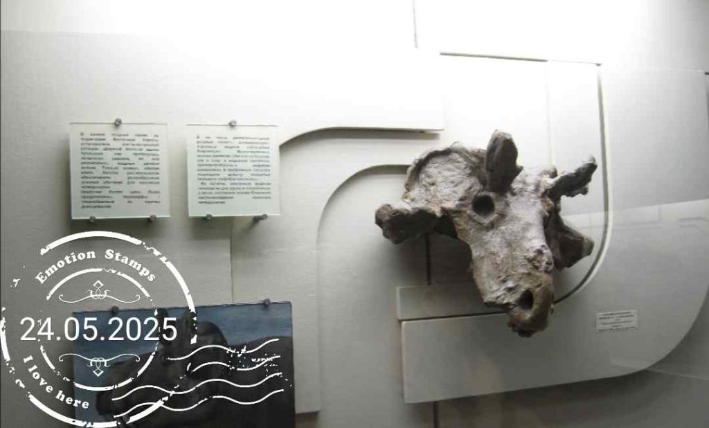 Палеонтологический музей, 2009, Дневник инвалида Саши