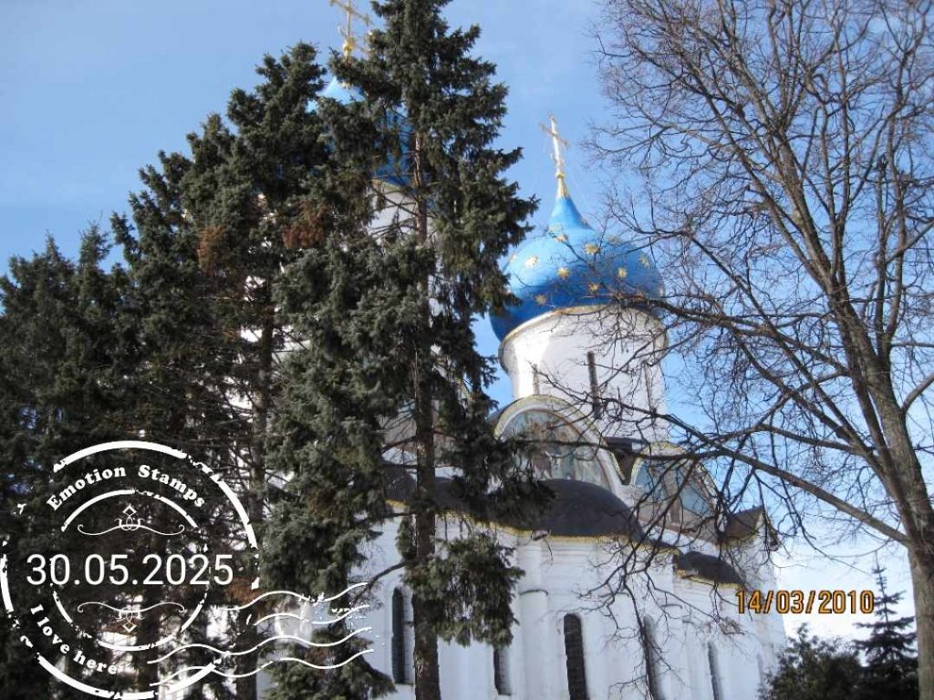 Звенигород, 2010, Дневник инвалида Саши