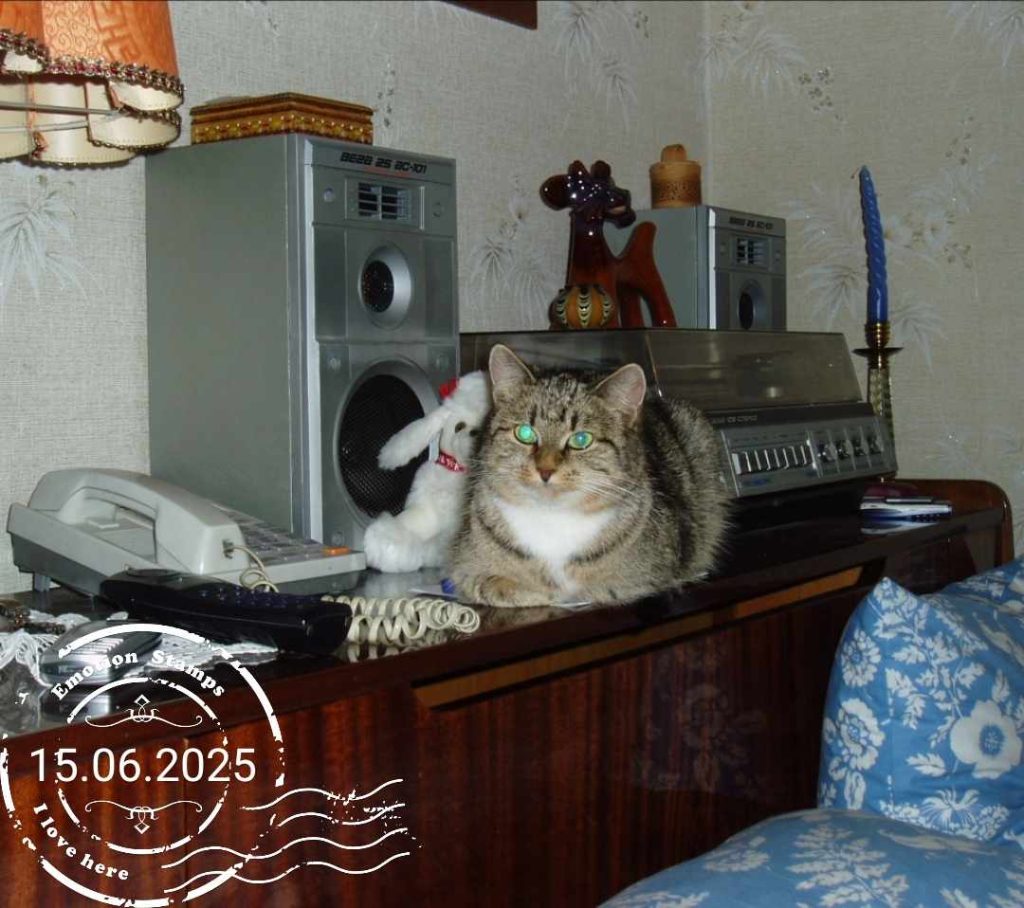 До ремонта, 2004, Дневник инвалида Саши