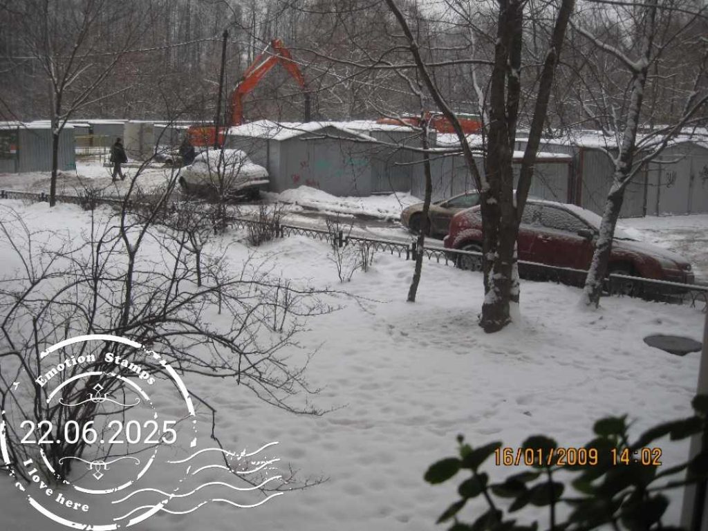 Двор, 2009, Дневник инвалида Саши