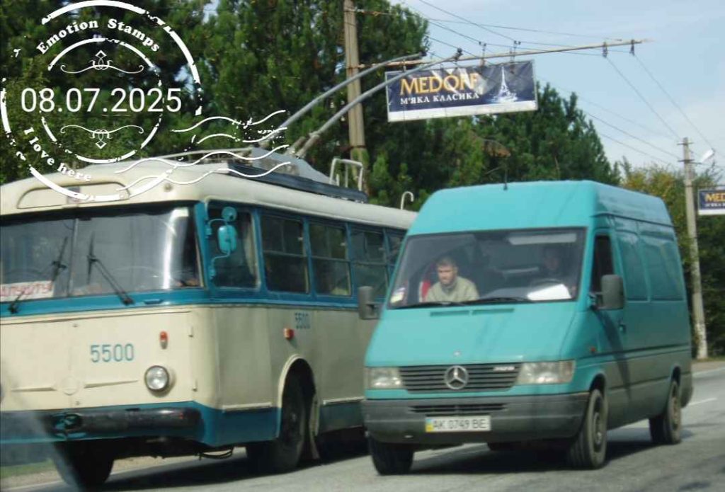Украина, 2008, Дневник инвалида Саши