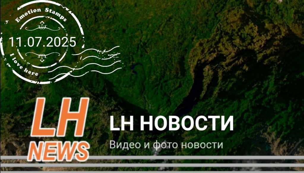 Дивиз агентства, 2025, Дневник инвалида Саши