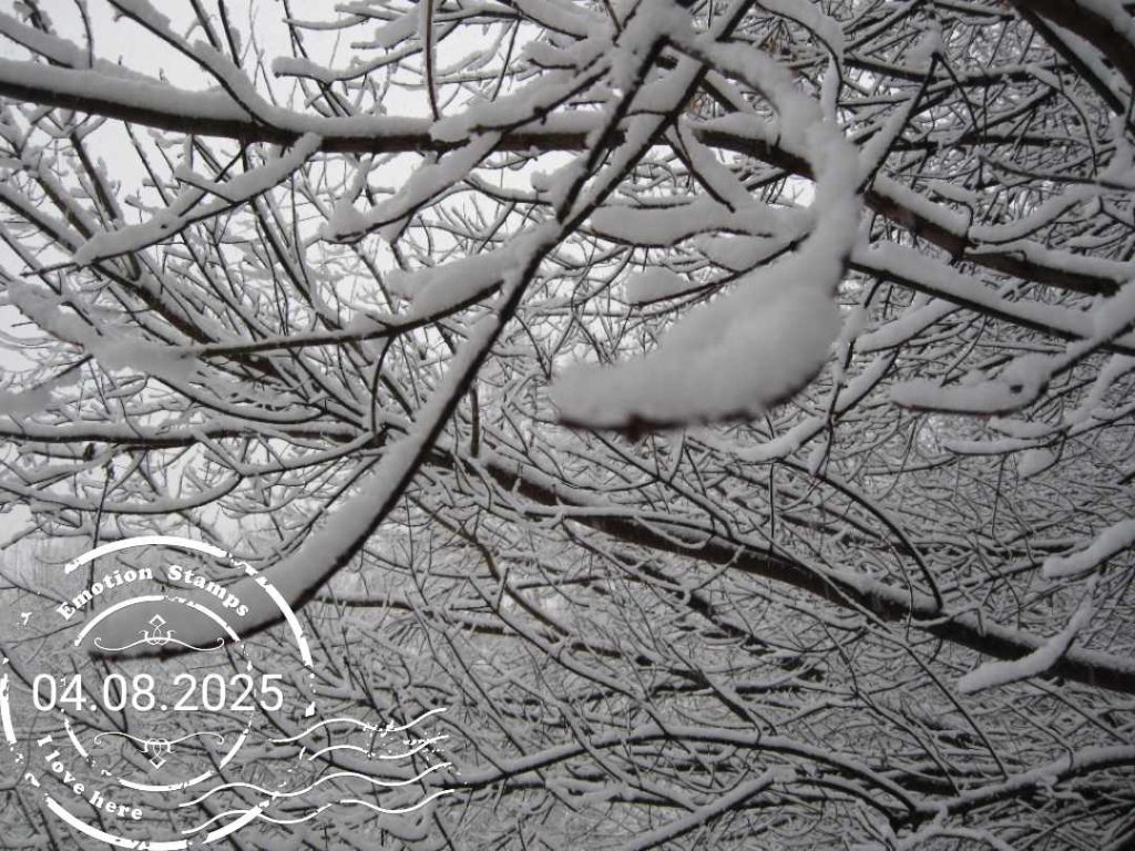 Лосиный остров, 2009, Дневник инвалида Саши