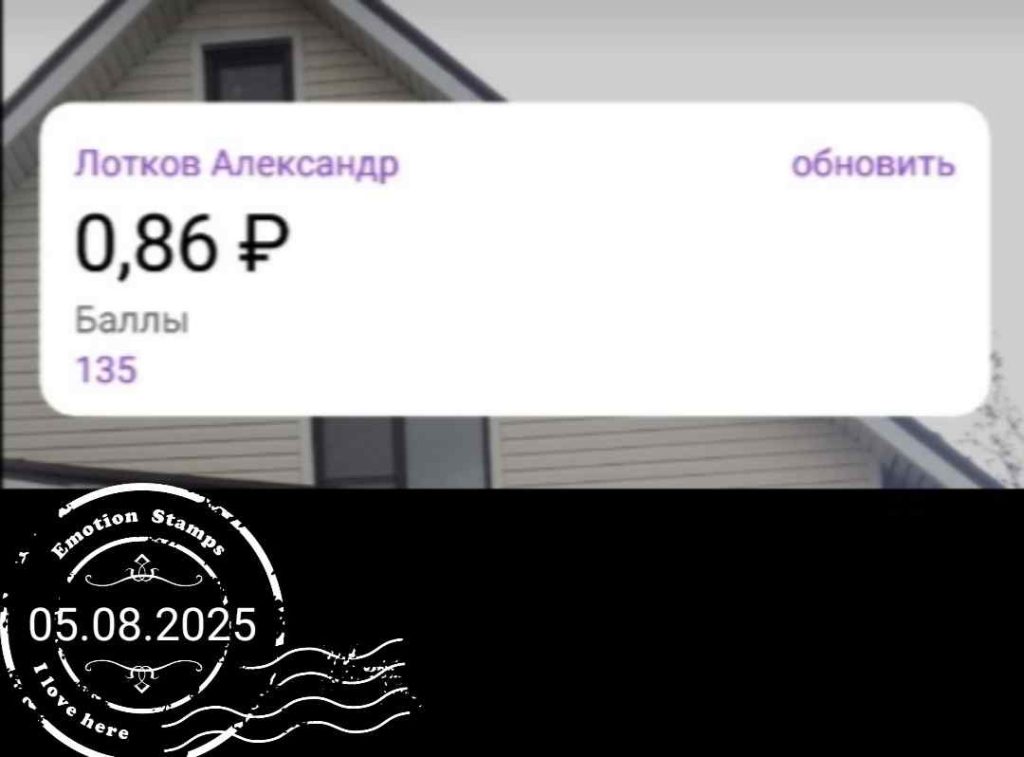 Состояние моего счета, 2025, Дневник инвалида Саши