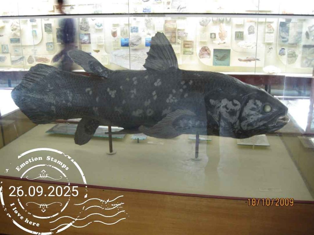 Палентологический музей, 2009, Дневник инвалида Саши