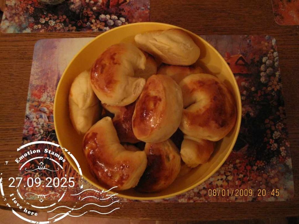 Пироги, 2009, Дневник инвалида Саши
