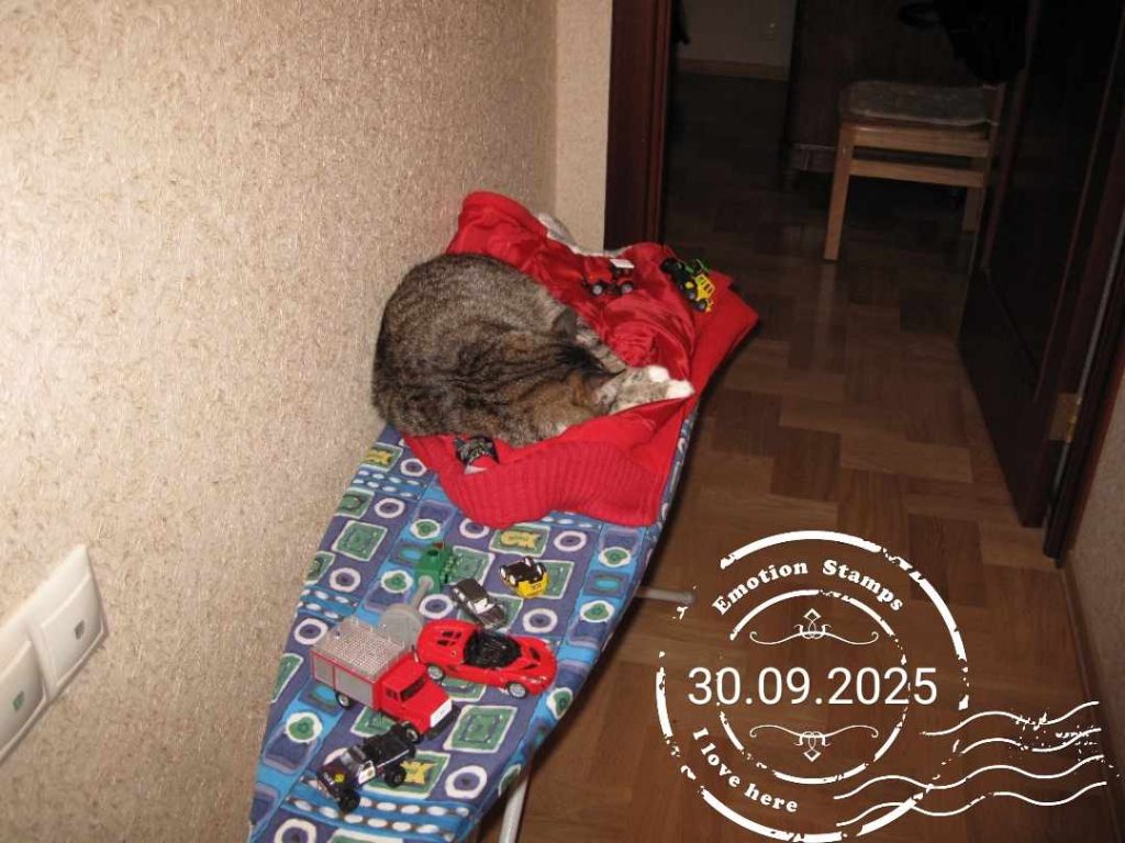 Выходные, 2009, Дневник инвалида Саши