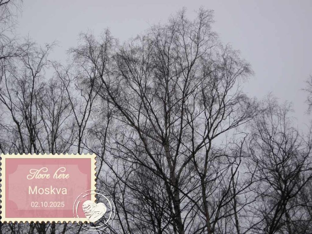 Зимний лес, 2009, Дневник инвалида Саши
