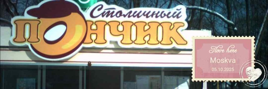 Сокольники, 2005, Дневник инвалида Саши