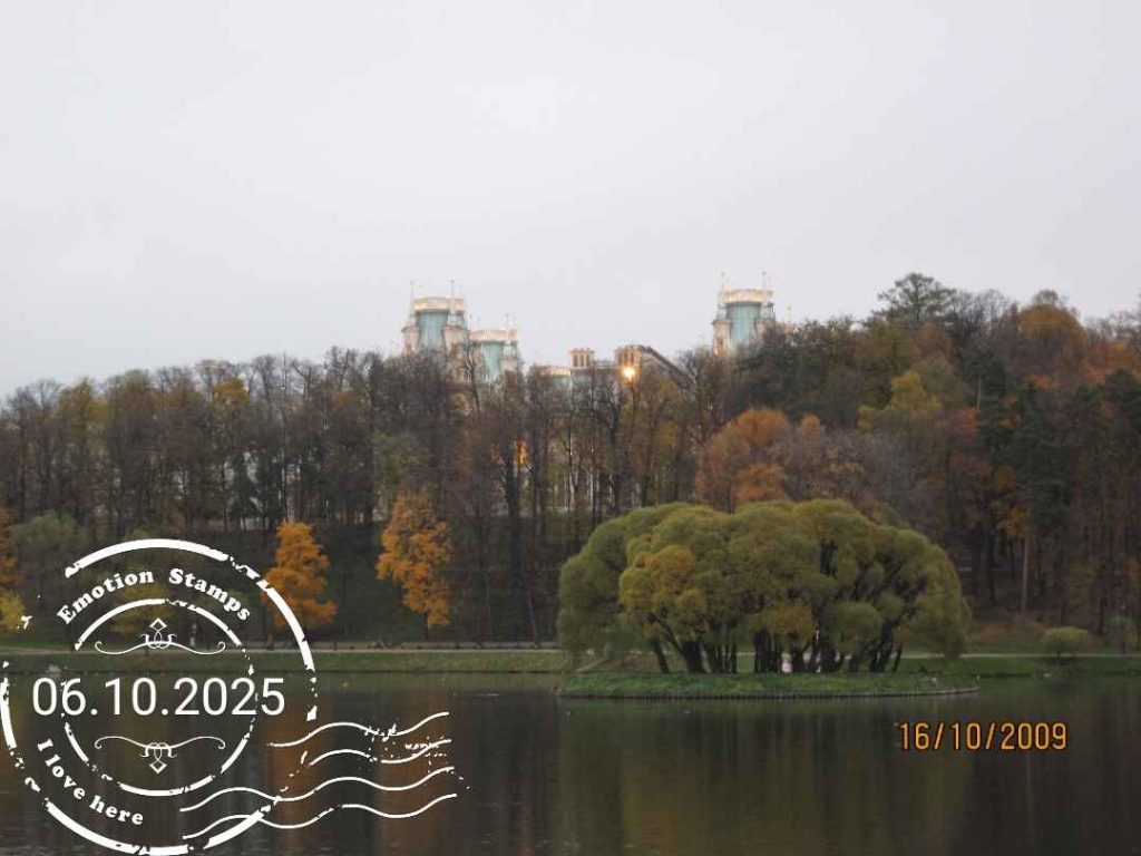 Царицыно, 2009, Дневник инвалида Саши
