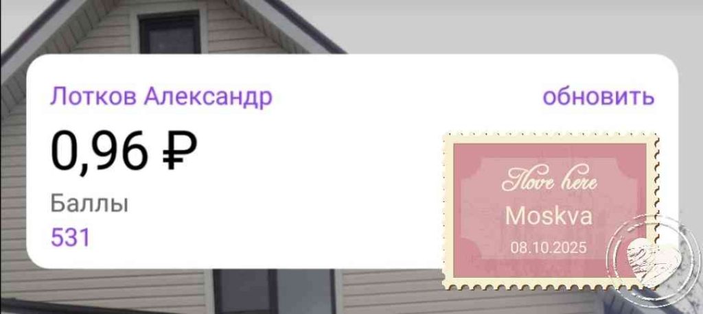 Баланс, 2025, Дневник инвалида Саши