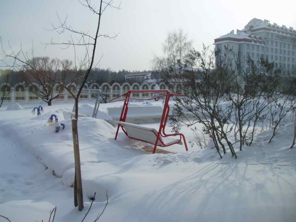 Зима, 2006, Дневник инвалида Саши