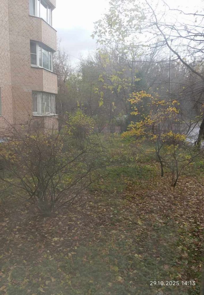 Двор, 2025, Дневник инвалида Саши