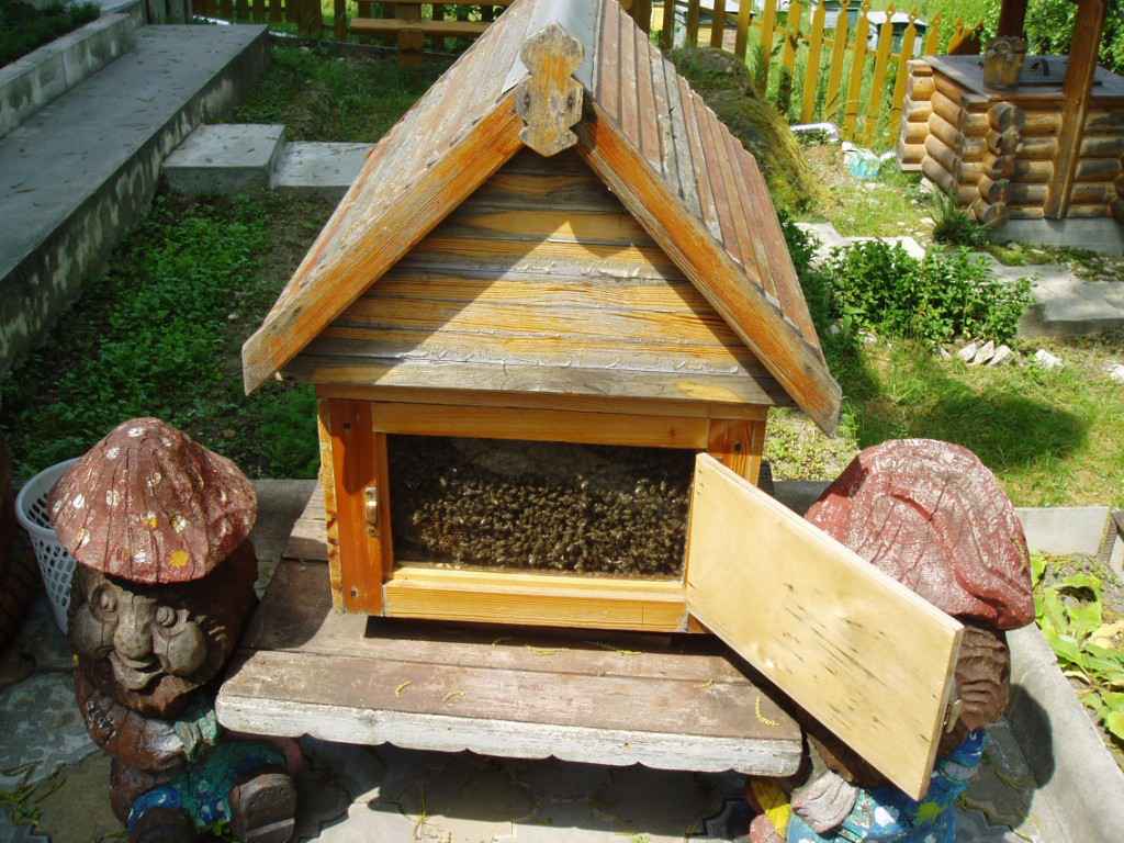 Сочи, 2008, Дневник инвалида Саши