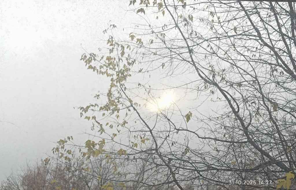 Осень, 2025, Дневник инвалида Саши