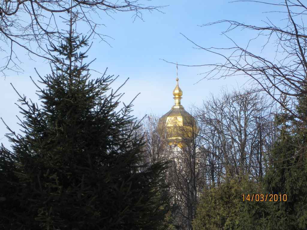 Сергиев Посад, 2010, Дневник инвалида Саши