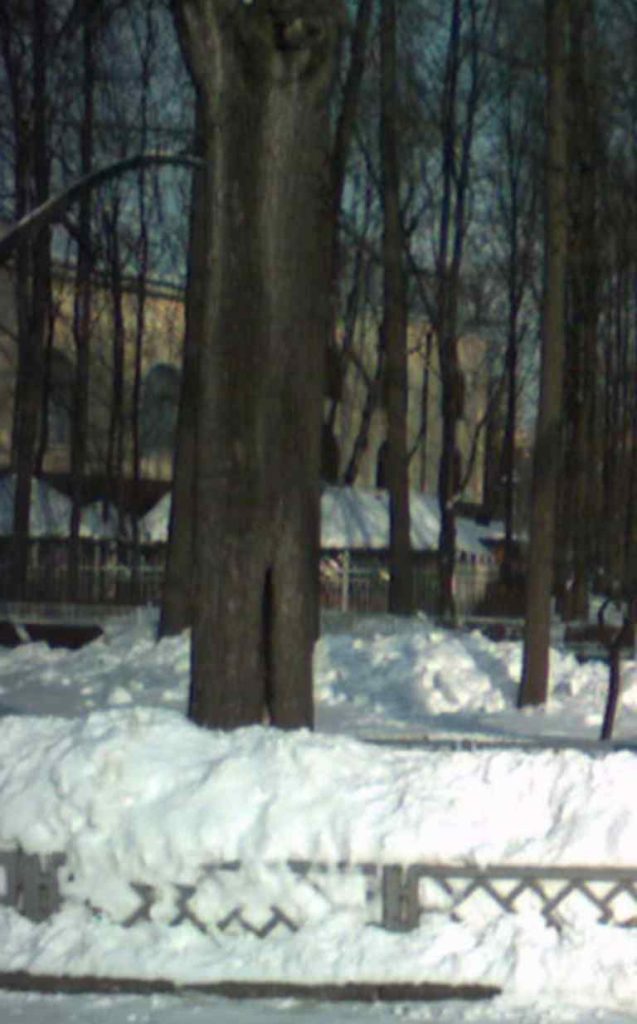 Сокольники, 2005, Дневник инвалида Саши