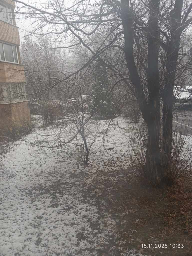 Первый снег, 2025, Дневник инвалида Саши