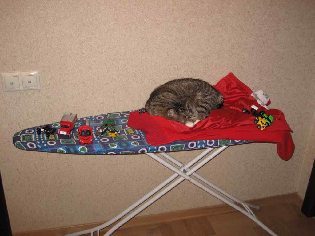 Кошо, 2009, Дневник инвалида Саши