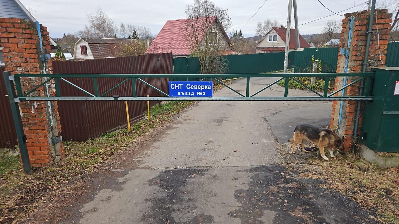 Осень 2025 — ноябрь (фотографии СНТ Северка)