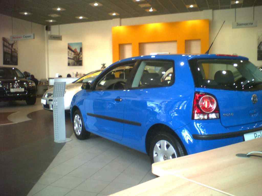 Германика, 2005, Дневник инвалида Саши