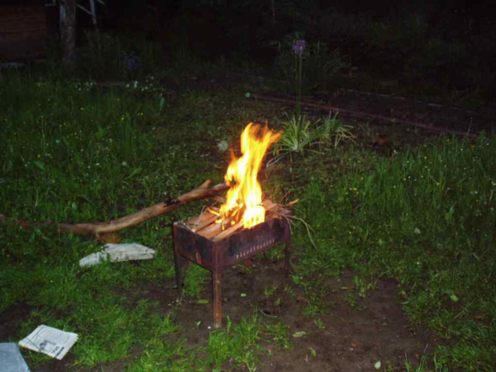 Дача, 2004, Дневник инвалида Саши