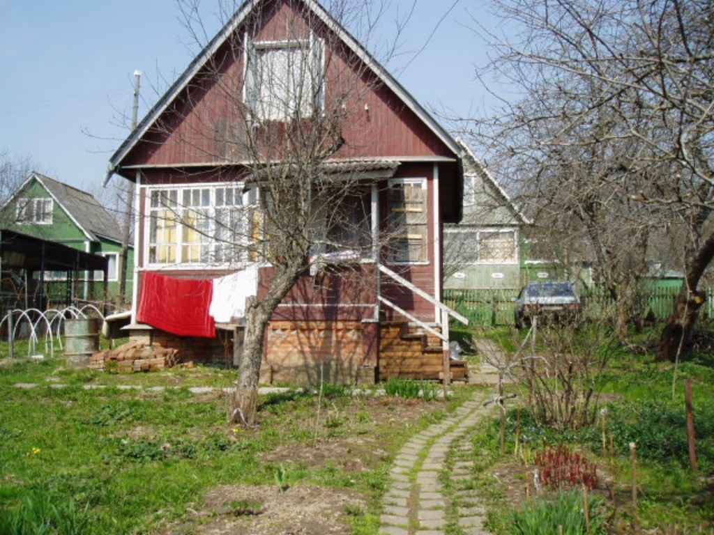 Дача, 2005, Дневник инвалида Саши