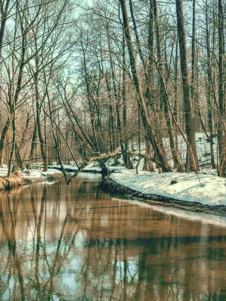 Яуза, 2025, Дневник инвалида Саши