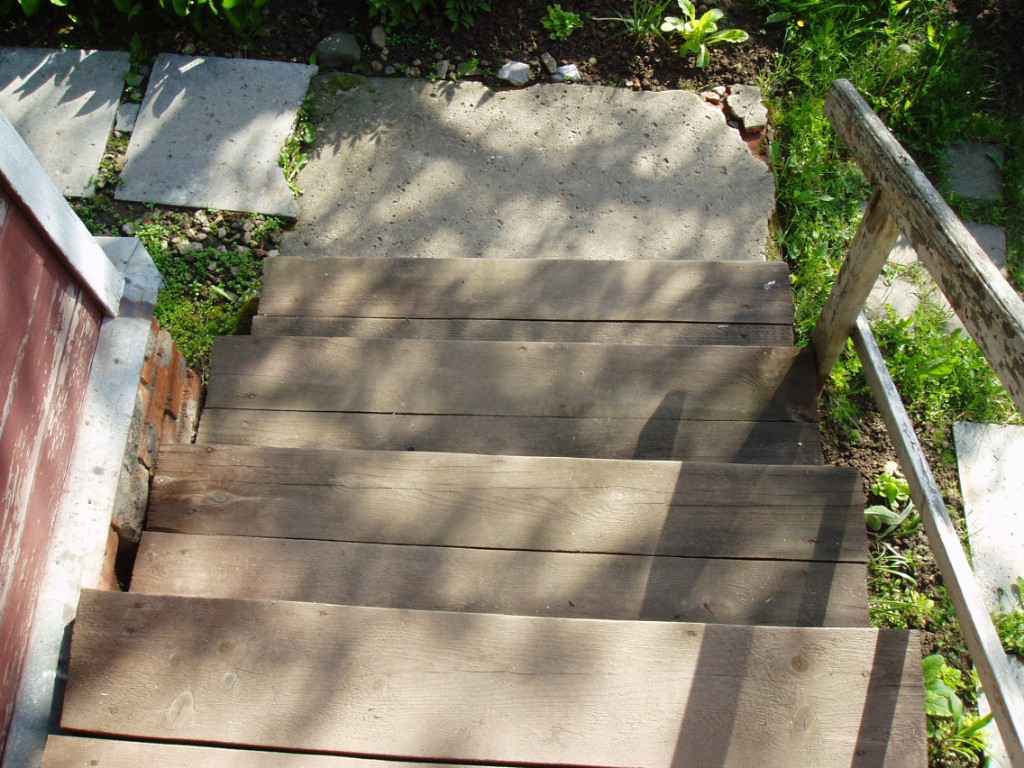 Дача, 2006, Дневник инвалида Саши