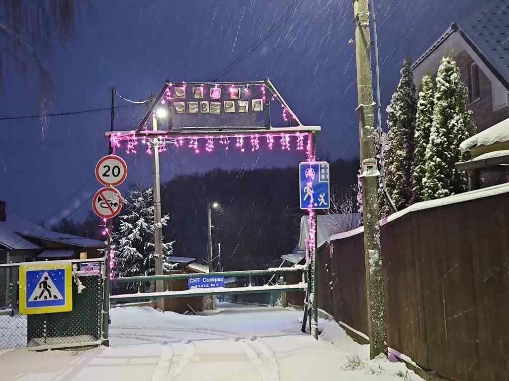 НГ в СНТ Северка, 2025, Дневник инвалида Саши