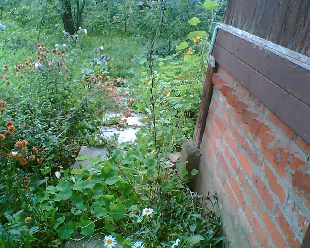 Дача, 2006, Дневник инвалида Саши