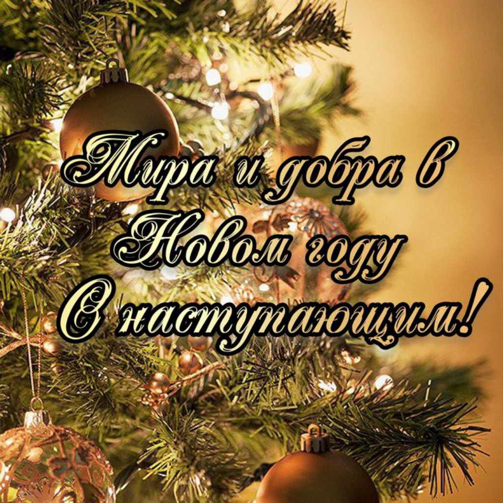 С наступлением НГ, 2025/2026, Дневник инвалида Саши