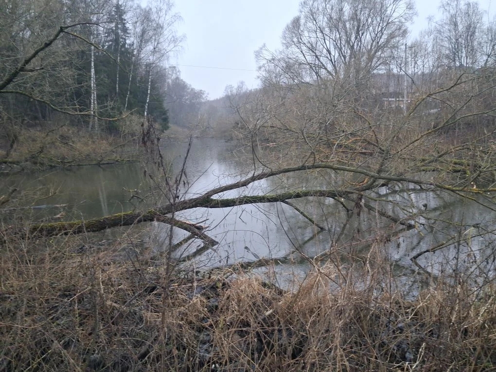 Зима 2025 — декабрь (фотографии СНТ Северка)