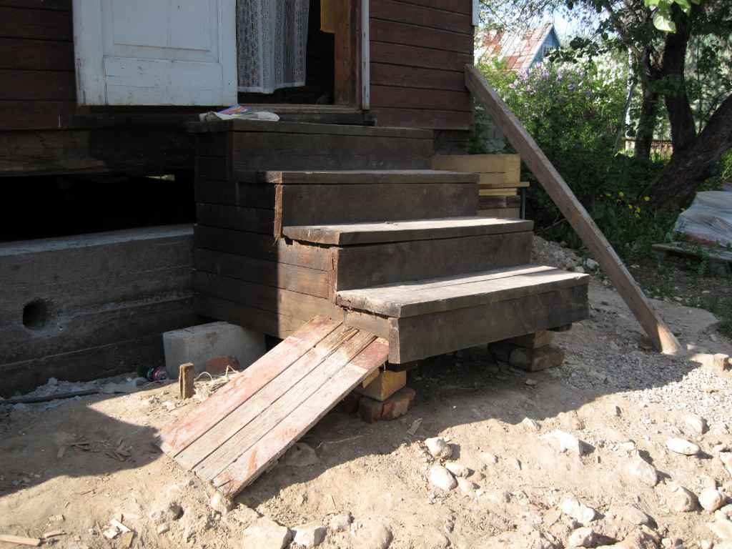 Дача, 2009, Дневник инвалида Саши