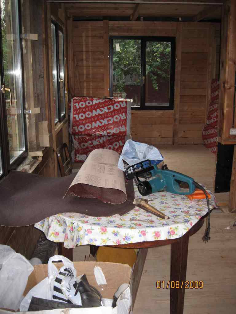 Дача, 2009, Дневник инвалида Саши