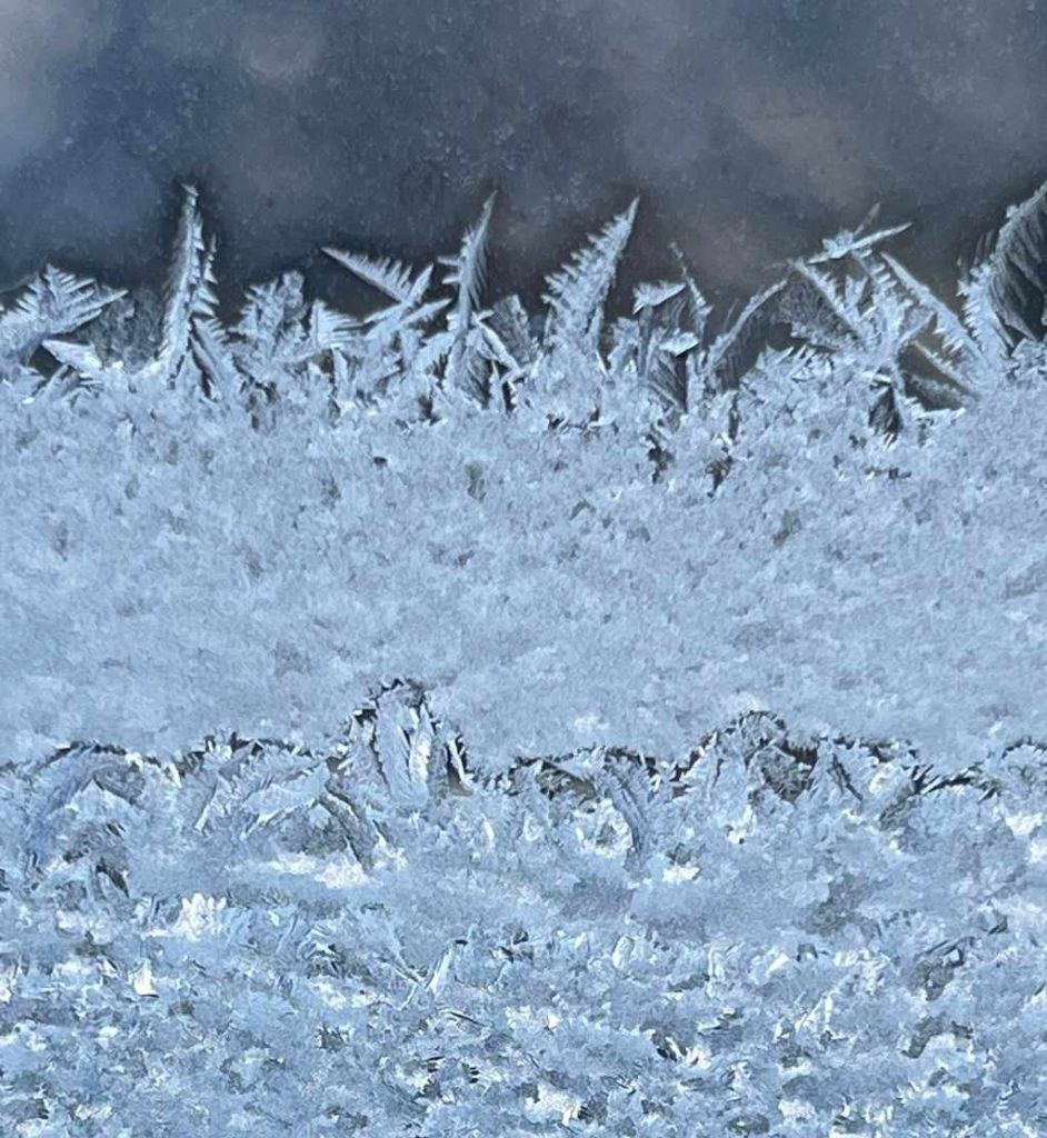 Мороз, 2026, Дневник инвалида Саши