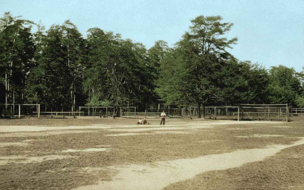 Ширяево поле, 1895, Дневник инвалида Саши