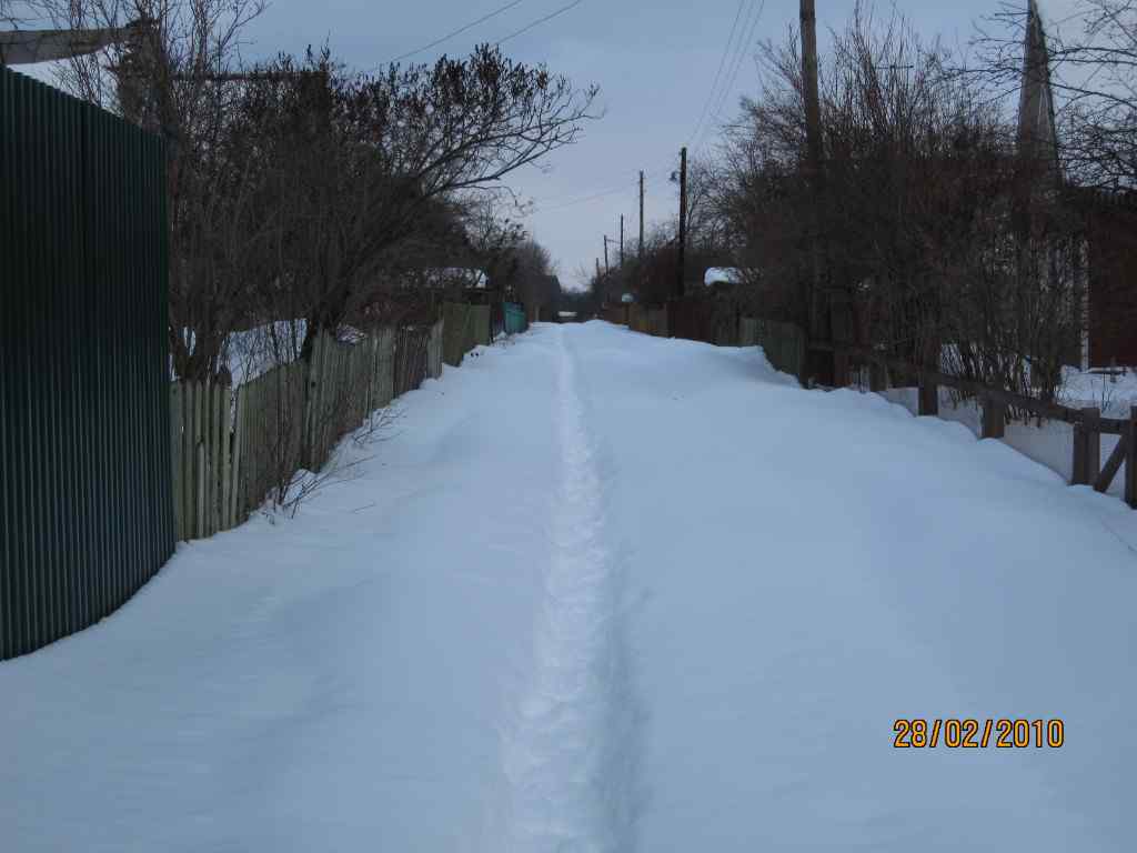 Дача, 2010, Дневник инвалида Саши